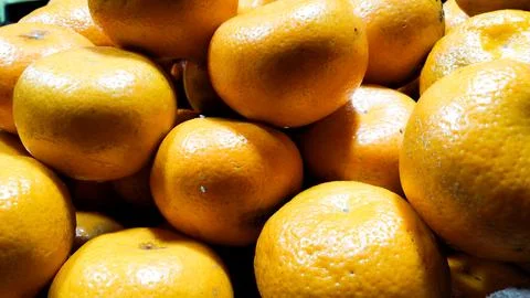 Orange Stock Photos