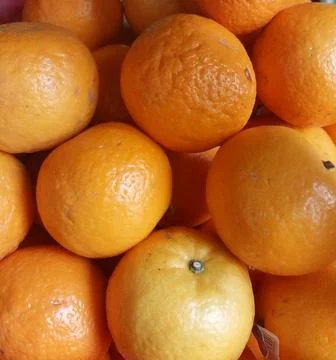 Orange Stock Photos