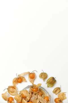 Orange physalis berries on a white background with copy space Stock Photos