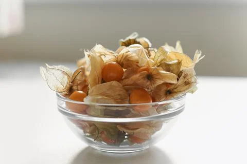 Orange physalis berries on a white background Stock Photos