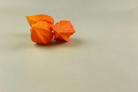 Orange Physalis close-up on a light background Stock Photos