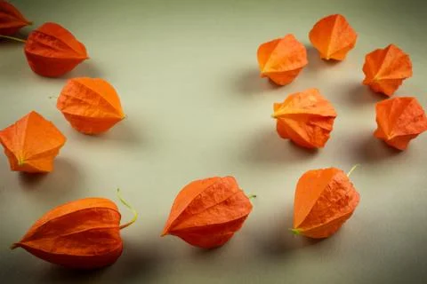 Orange Physalis close-up on a light background Stock Photos