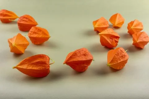 Orange Physalis close-up on a light background Stock Photos