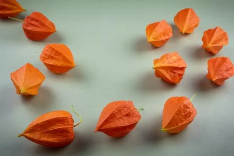 Orange Physalis close-up on a light background Stock Photos