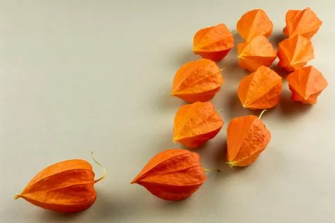 Orange physalis close up on white background Stock Photos