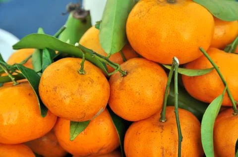 Orange pile Stock Photos