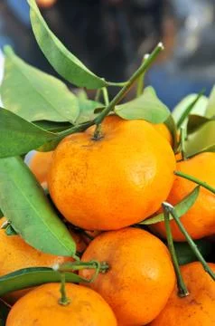 Orange pile Stock Photos