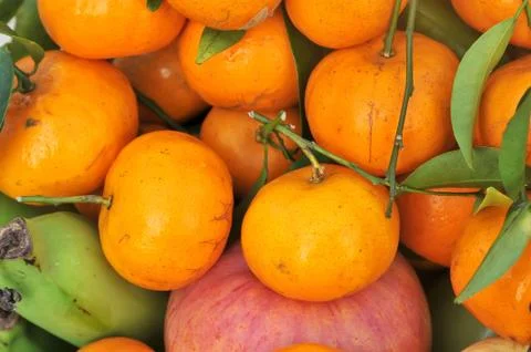 Orange pile Stock Photos
