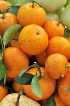 Orange pile Stock Photos