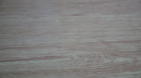 Orange pinwheel spinning on a table Stock Footage 55658096