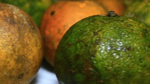 Orange on plate Stock Footage 291912489