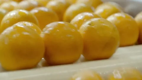 Orange Processing Stock Footage 308228580