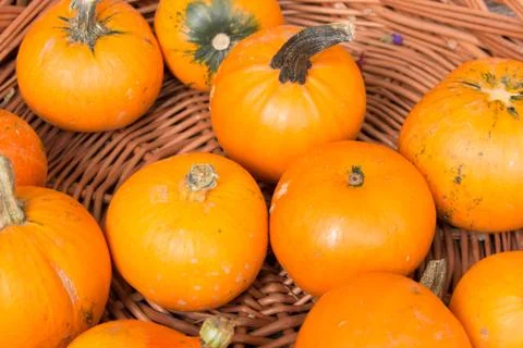 Orange pumkins Stock Photos