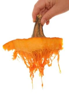 Orange pumpkin with all the stringy squash hanging down isolated on white bac Stock Photos