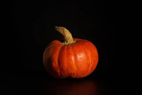 Orange pumpkin on a black background Stock Photos