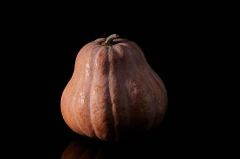 Orange pumpkin on black background Stock Photos