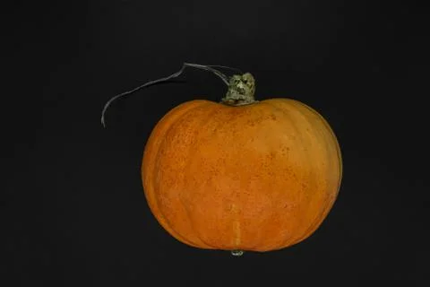 Orange pumpkin on black background surface with copy space Stock Photos