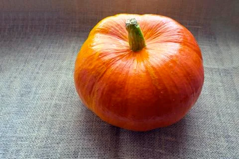 Orange pumpkin on burlap, close-up. Rustic style Stock Photos