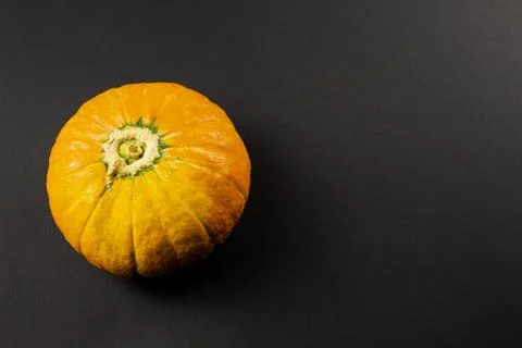 Orange pumpkin close-up on a black background Stock Photos