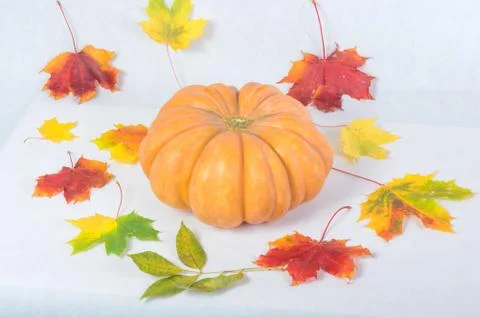 Orange pumpkin close-up Foto stock