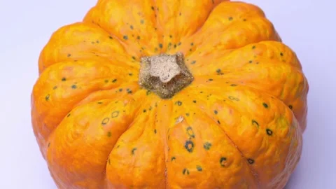 Orange pumpkin close-up. vegetable pumpkin rotates Stock Footage 219824192