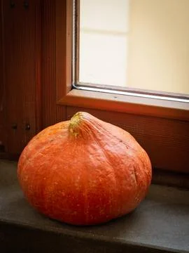 Orange pumpkin close to the window Фото