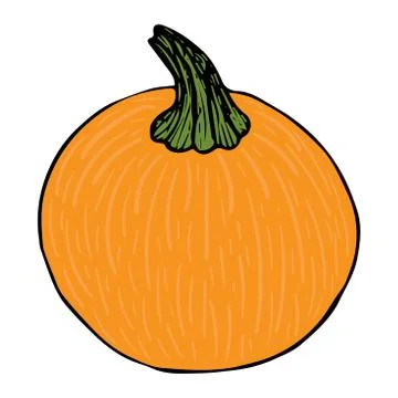 Orange pumpkin doodle isolated on white background Stock Illustration