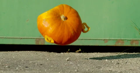 Orange pumpkin falling into the ground and scattering into pieces Stock Footage 145054467