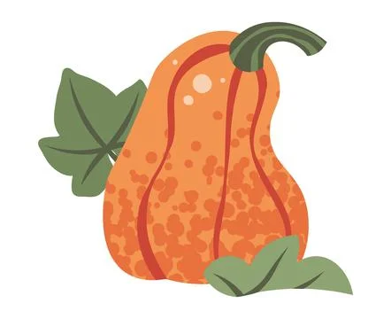 Orange Pumpkin Flat Vector Illustration Isolated on White. Autumn Thanksgiving 스톡 일러스트