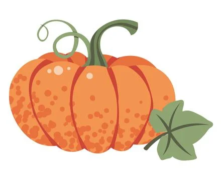 Orange Pumpkin Flat Vector Illustration Isolated on White. Thanksgiving Harvest Stock Illustration