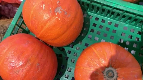 Orange pumpkin Video stock 270457669