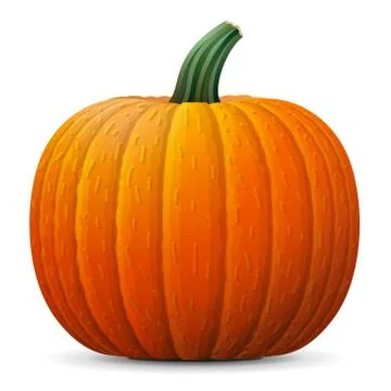 Orange pumpkin fruit close up Illustrazione stock