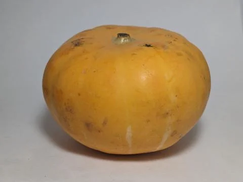 Orange Pumpkin Fruit on the white background Stock Photos