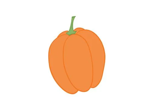 Orange pumpkin with green stem on white background Stock Illustration