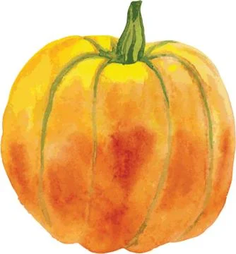 Orange pumpkin with a green tail Иллюстрация