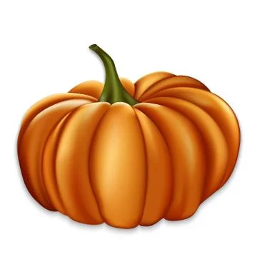 Orange pumpkin. Stock Illustration