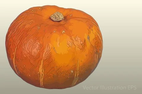Orange Pumpkin Stock Illustration