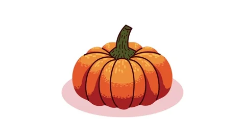 Orange pumpkin isolated on white background, animation with subtle shadow e.. Stock Footage 333295495
