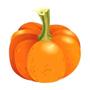 Orange pumpkin isolated on white background. Vector autumn harvest  Illustrazione stock