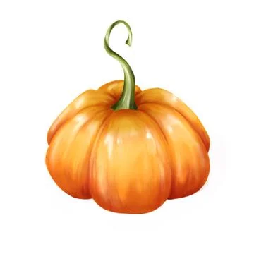 Orange pumpkin, isolated on white background Stock Illustration