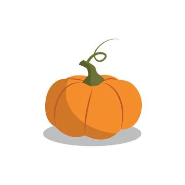 Orange Pumpkin Isolated on White Background with Shadow Stock Illustration