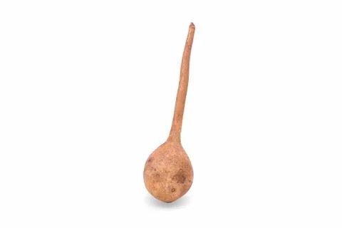 Orange pumpkin isolated on a white background Foto stock
