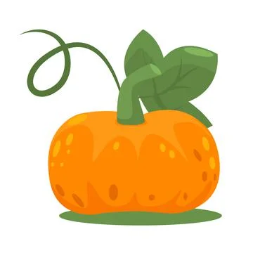 Orange pumpkin with leaf in flat style. Autumn harvest isolated on a white ba Stock Illustration
