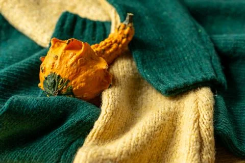 Orange pumpkin near a stack of knitted sweaters on a knitted blanket Foto stock