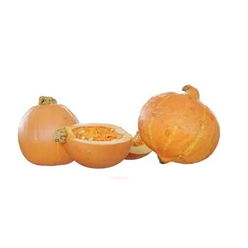 The orange pumpkin is next to the cut half of it Stock Illustration