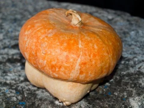 Orange pumpkin Stock Photos