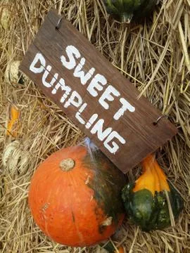 Orange Pumpkin Stock Photos