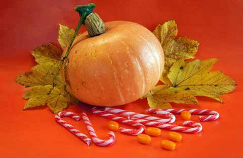 Orange pumpkin Foto stock