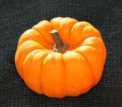 Orange Pumpkin. Stock Photos