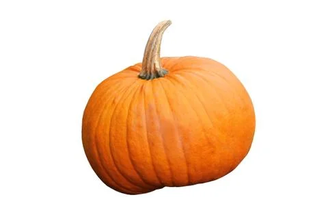 Orange Pumpkin. Stock Photos